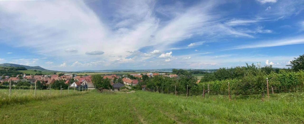 Prazdninovy Dum Na Palave S Vinnym Sklepem Milovice  외부 사진